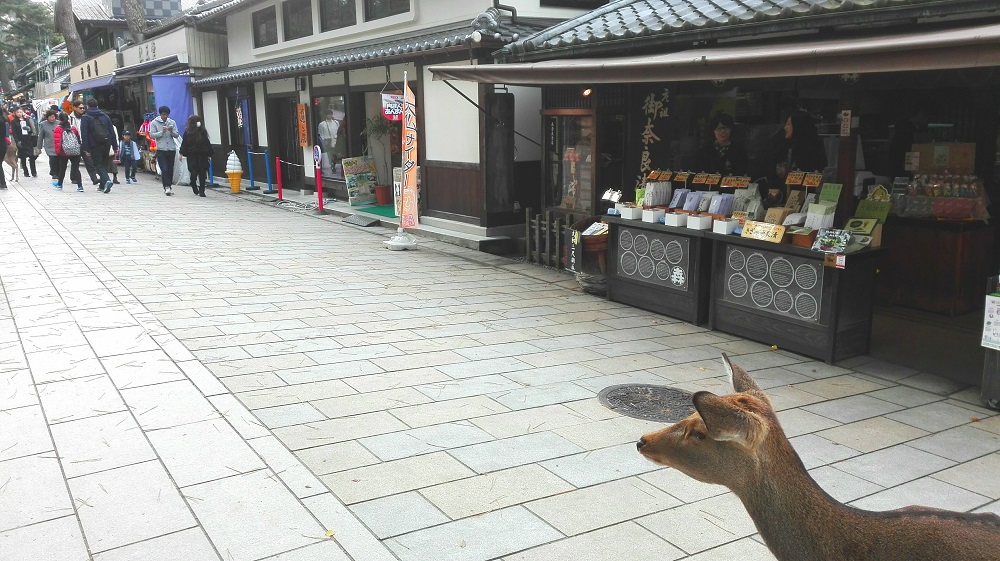 奈良東大寺前