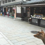 奈良東大寺前